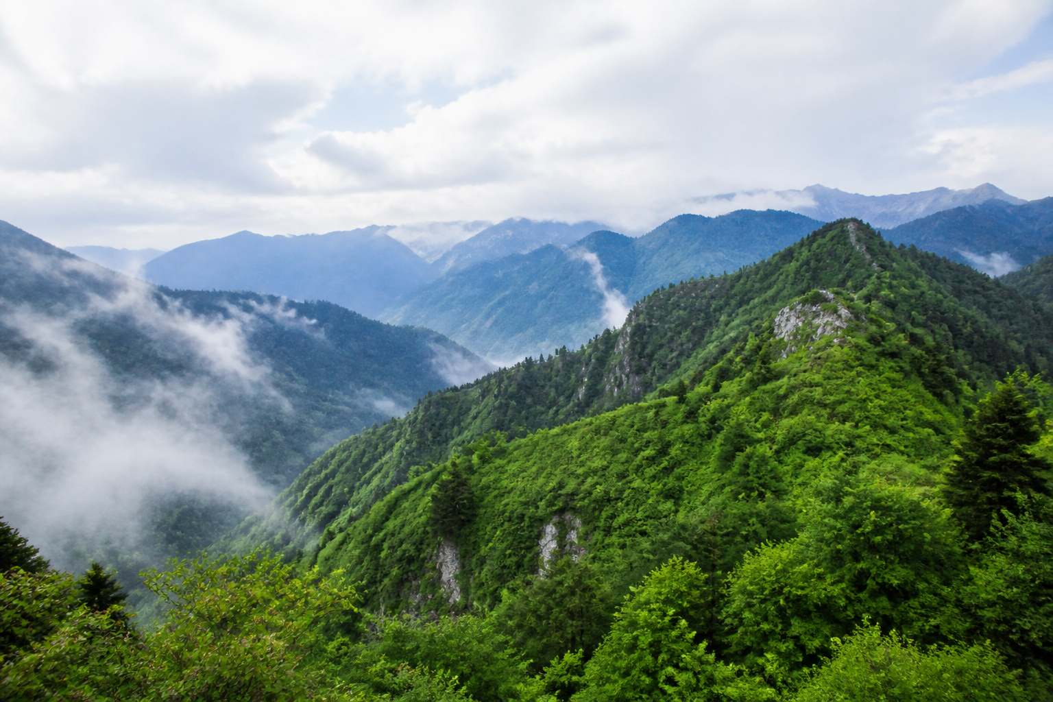 Qinling wildlife and ecology exploration
